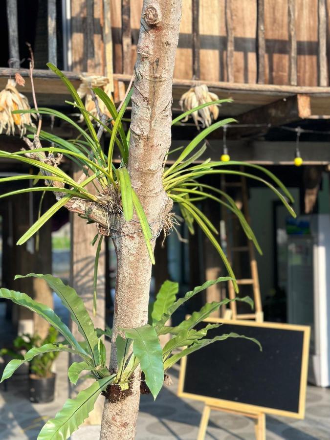 Du Gia Thu'S Homestay Lang Cac Exterior photo